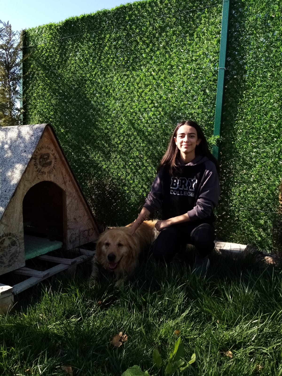 Birey | Blog | Sokak Hayvanları Projesi Gerçekleştirildi